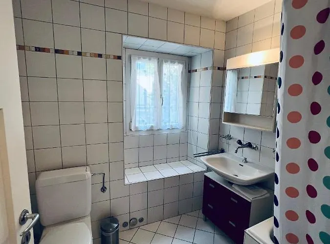 아파트 Brissago Lake Apartment