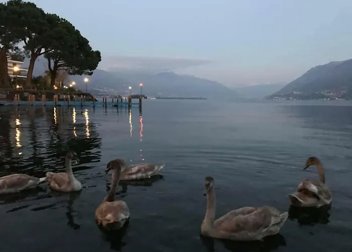 아파트 Brissago Lake Apartment 브리사고